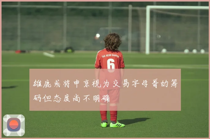 雄鹿或将申京视为交易字母哥的筹码但态度尚不明确
